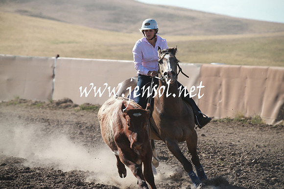 AdaminabyCampdraftSun_0014