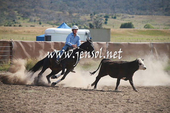 AdaminabyCampdraftSun_0165