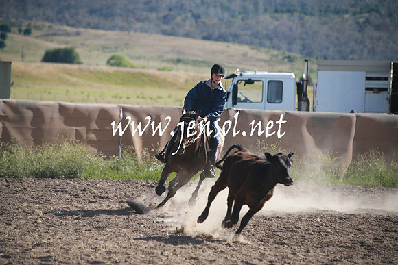 AdaminabyCampdraftSun_0062