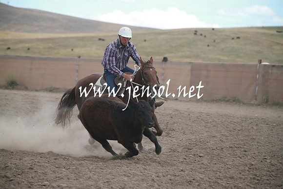AdaminabyCampdraftSun_0319