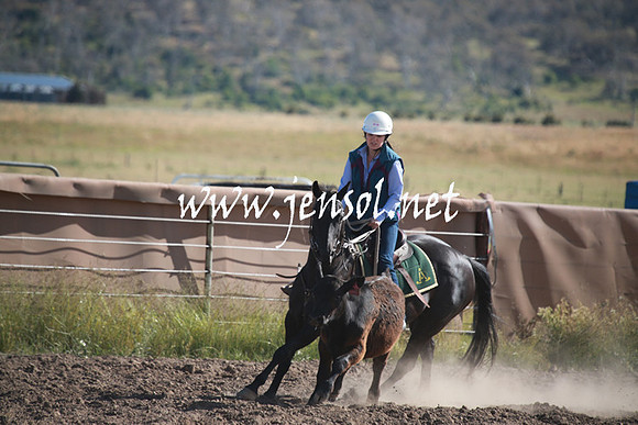 AdaminabyCampdraftSun_0092