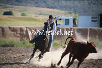 AdaminabyCampdraftSun_0019