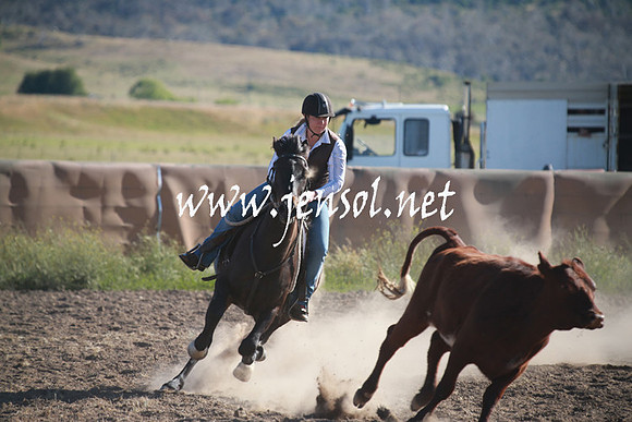 AdaminabyCampdraftSun_0019