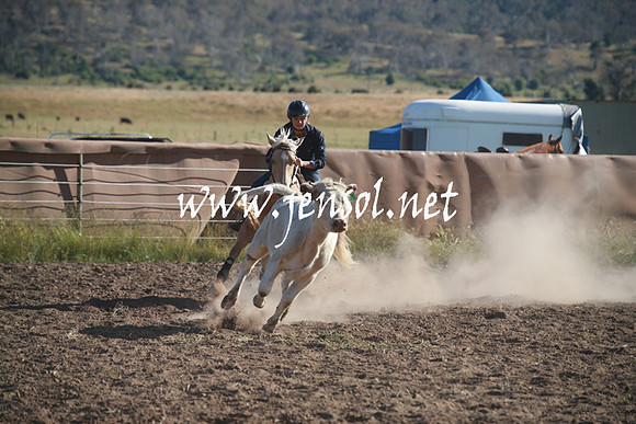 AdaminabyCampdraftSun_0029