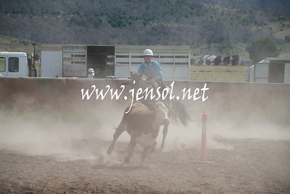 AdaminabyCampdraftSun_0187