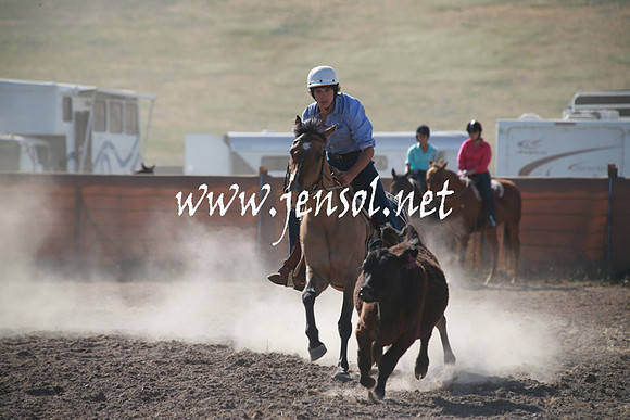 AdaminabyCampdraftSun_0114