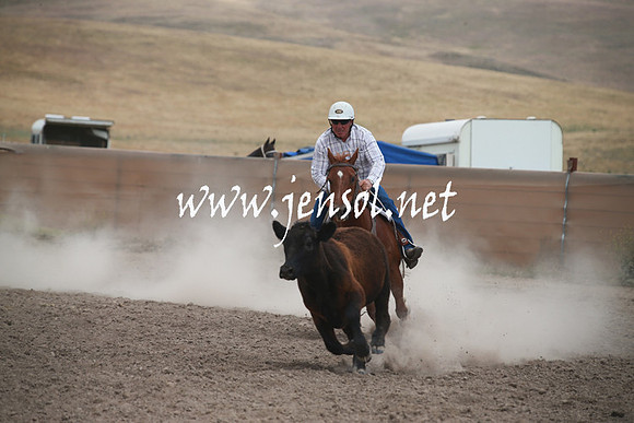 AdaminabyCampdraftSun_0241
