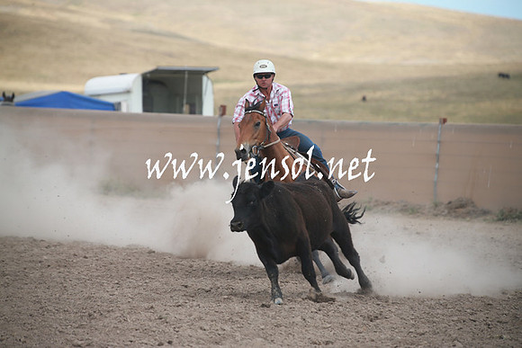 AdaminabyCampdraftSun_0258