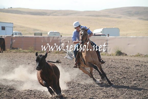 AdaminabyCampdraftSun_0119