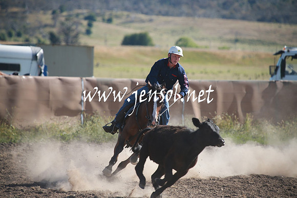 AdaminabyCampdraftSun_0067