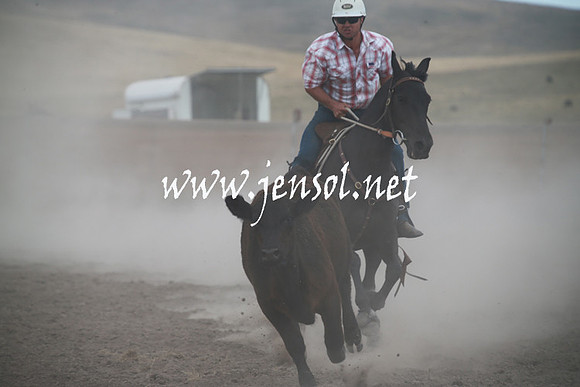 AdaminabyCampdraftSun_0313