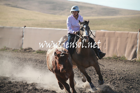 AdaminabyCampdraftSun_0015