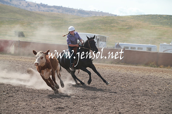 AdaminabyCampdraftSun_0207