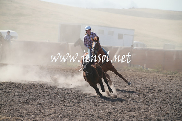 AdaminabyCampdraftSun_0138