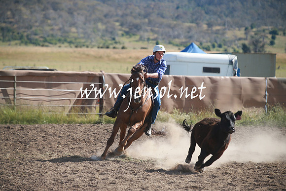 AdaminabyCampdraftSun_0124