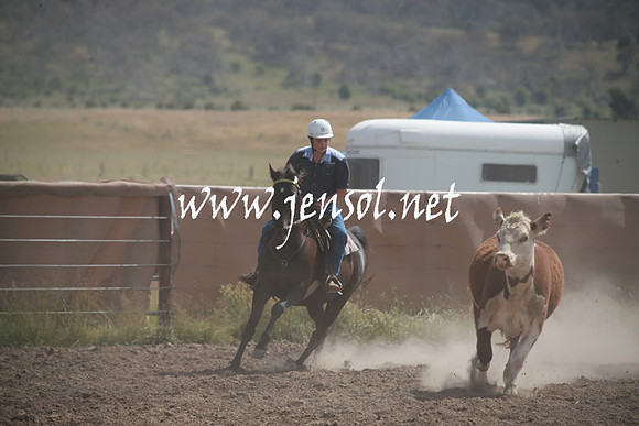 AdaminabyCampdraftSun_0216
