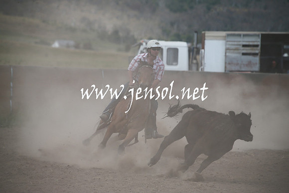 AdaminabyCampdraftSun_0255
