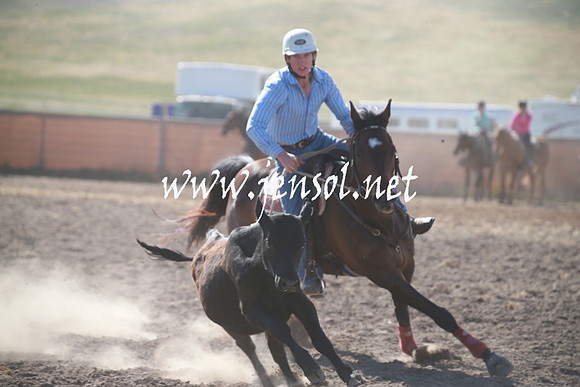 AdaminabyCampdraftSun_0103