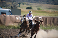AdaminabyCampdraftSun_0006