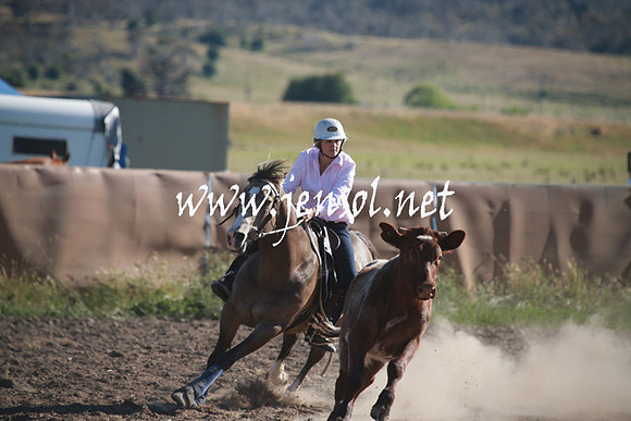 AdaminabyCampdraftSun_0006