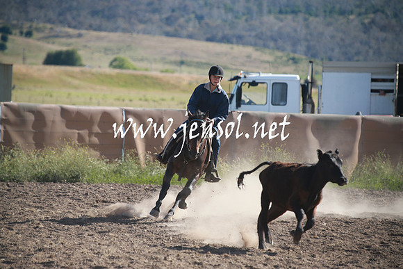 AdaminabyCampdraftSun_0064