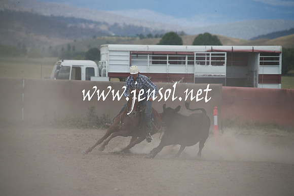 AdaminabyCampdraftSun_0286
