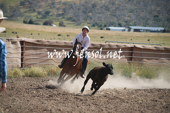 AdaminabyCampdraftSun_0151