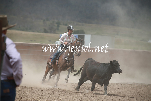 AdaminabyCampdraftSun_0332