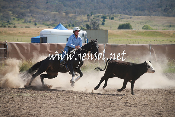AdaminabyCampdraftSun_0166