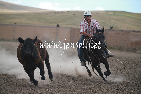 AdaminabyCampdraftSun_0364