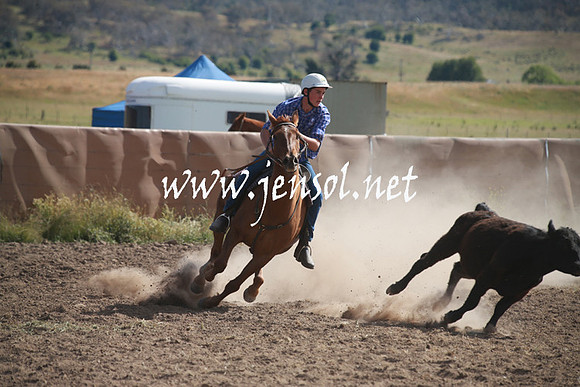 AdaminabyCampdraftSun_0157