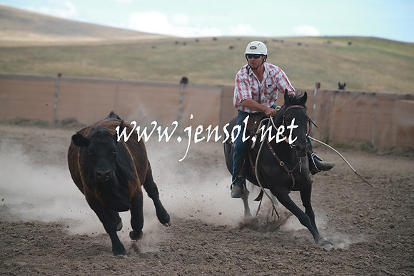 AdaminabyCampdraftSun_0363