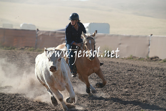 AdaminabyCampdraftSun_0033