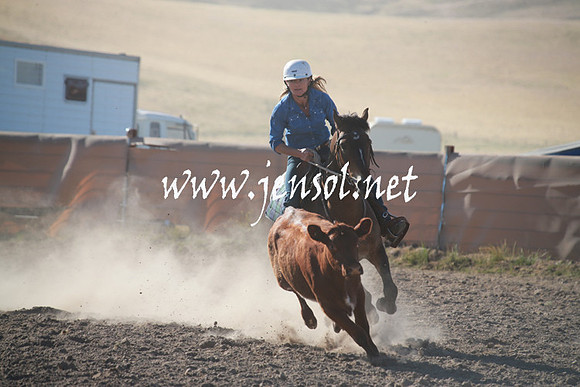AdaminabyCampdraftSun_0045