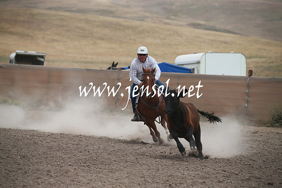 AdaminabyCampdraftSun_0237