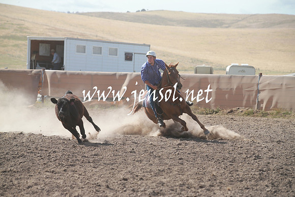 AdaminabyCampdraftSun_0164