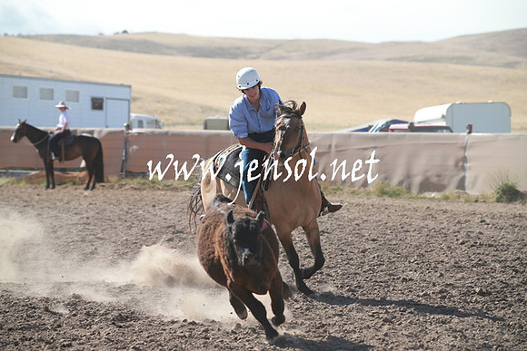 AdaminabyCampdraftSun_0116