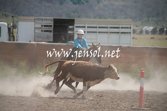AdaminabyCampdraftSun_0217
