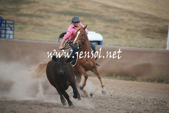AdaminabyCampdraftSun_0252