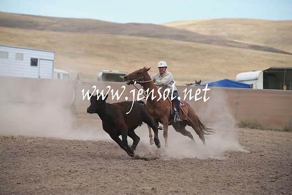 AdaminabyCampdraftSun_0270