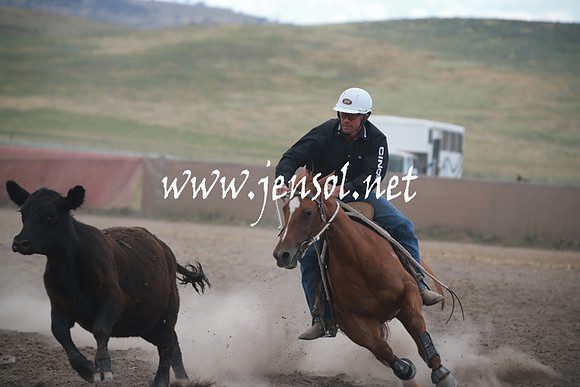 AdaminabyCampdraftSun_0358