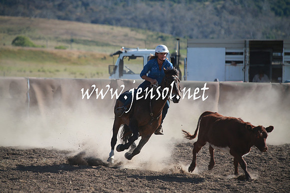 AdaminabyCampdraftSun_0040