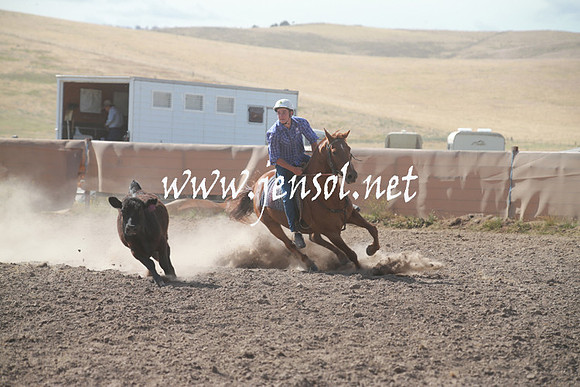 AdaminabyCampdraftSun_0163