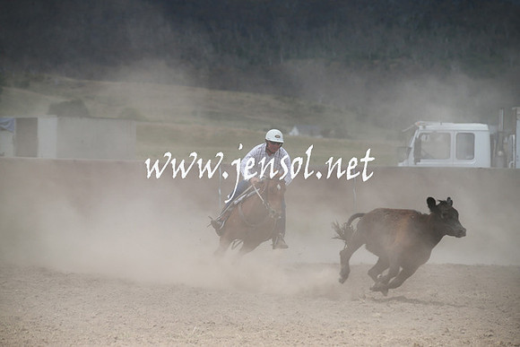 AdaminabyCampdraftSun_0235