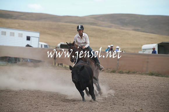 AdaminabyCampdraftSun_0342