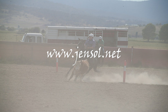 AdaminabyCampdraftSun_0210