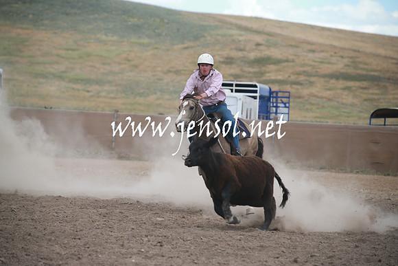 AdaminabyCampdraftSun_0344