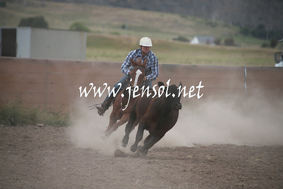 AdaminabyCampdraftSun_0278