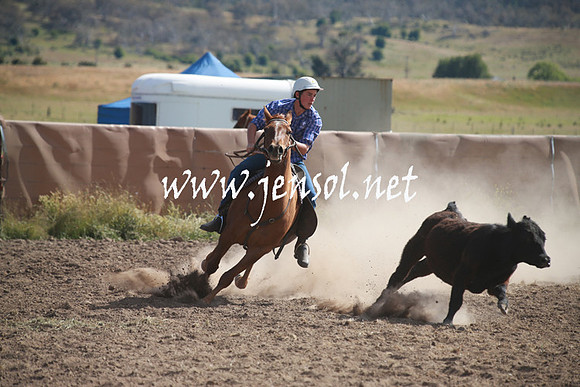 AdaminabyCampdraftSun_0156