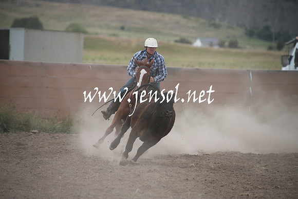 AdaminabyCampdraftSun_0277
